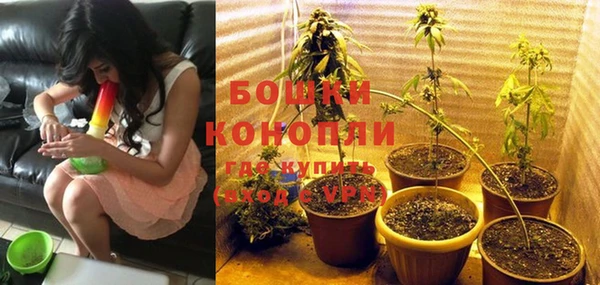 apvp Нея
