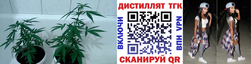 ТГК вейп Обоянь
