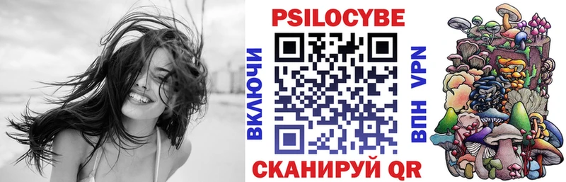 сколько стоит  Обоянь  Псилоцибиновые грибы Psilocybine cubensis 